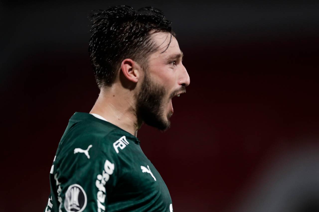 Roma Vina Palmeiras