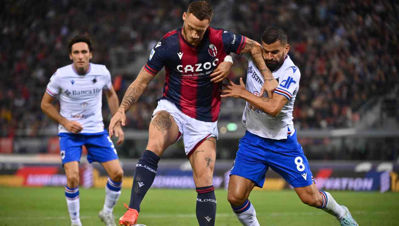 Bologna Sampdoria 1-1