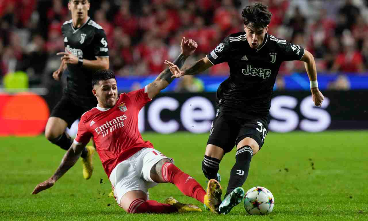 Scommessa vinta dal Benfica: ora Enzo Fernandez vale il doppio