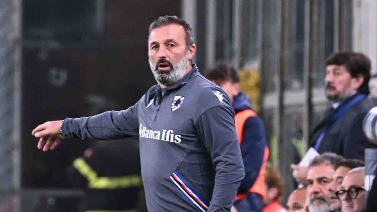 Sampdoria, futuro Stankovic: l'annuncio del vice fuga ogni dubbio