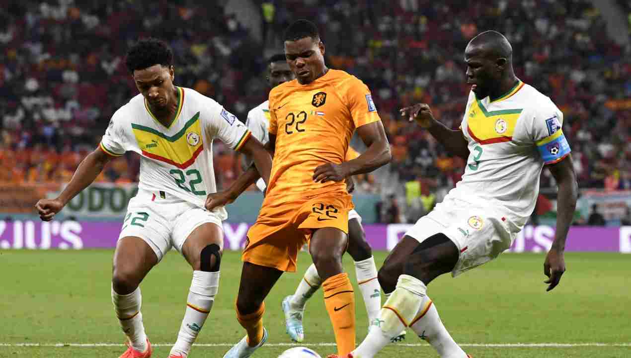 Senegal-Olanda 0-1: gol di Gakpo