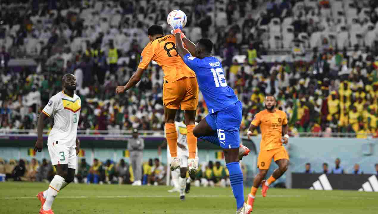 Senegal-Olanda, decide Gakpo