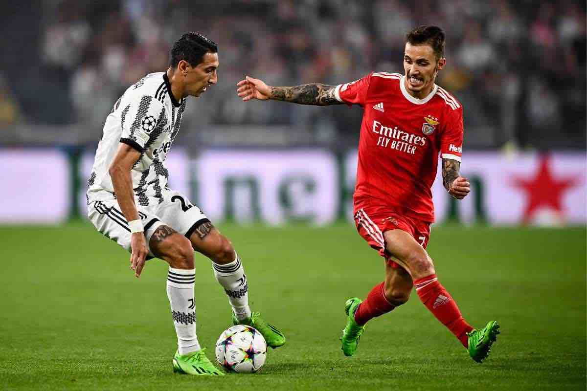 Juve, Inter e Napoli: Grimaldo in Serie A