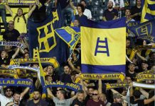 Verona, Zaffaroni è il nuovo allenatore: il comunicato dell'Aiac