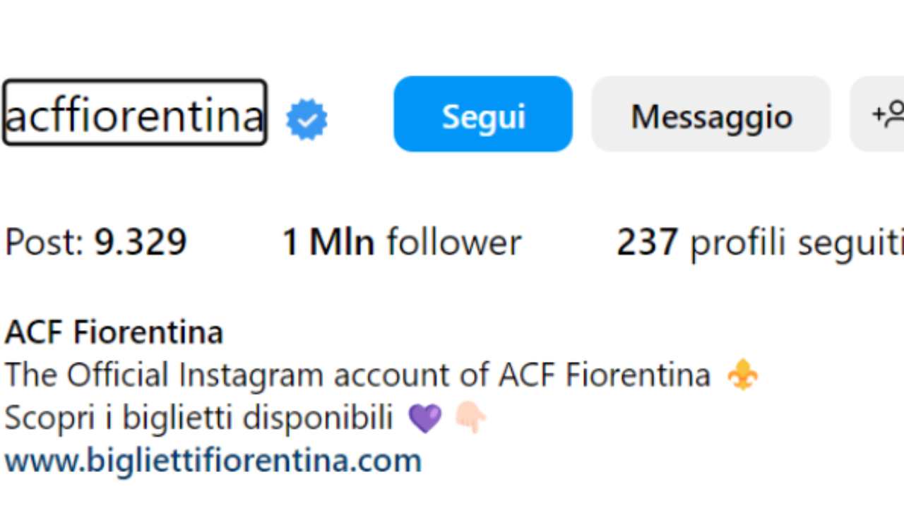 Fiorentina follower Instagram