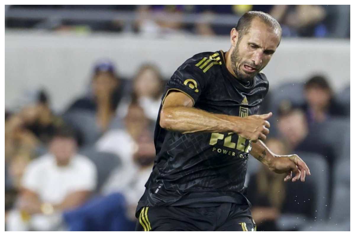 Chiellini apre al ritorno