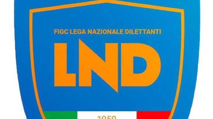 Maxi rissa e nove squalificati: ufficiale