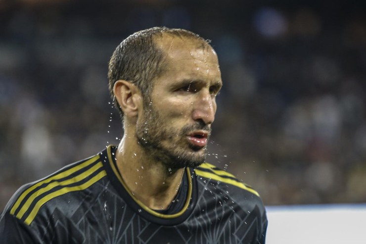 Calciomercato Juventus, Chiellini apre al ritorno: l'annuncio 