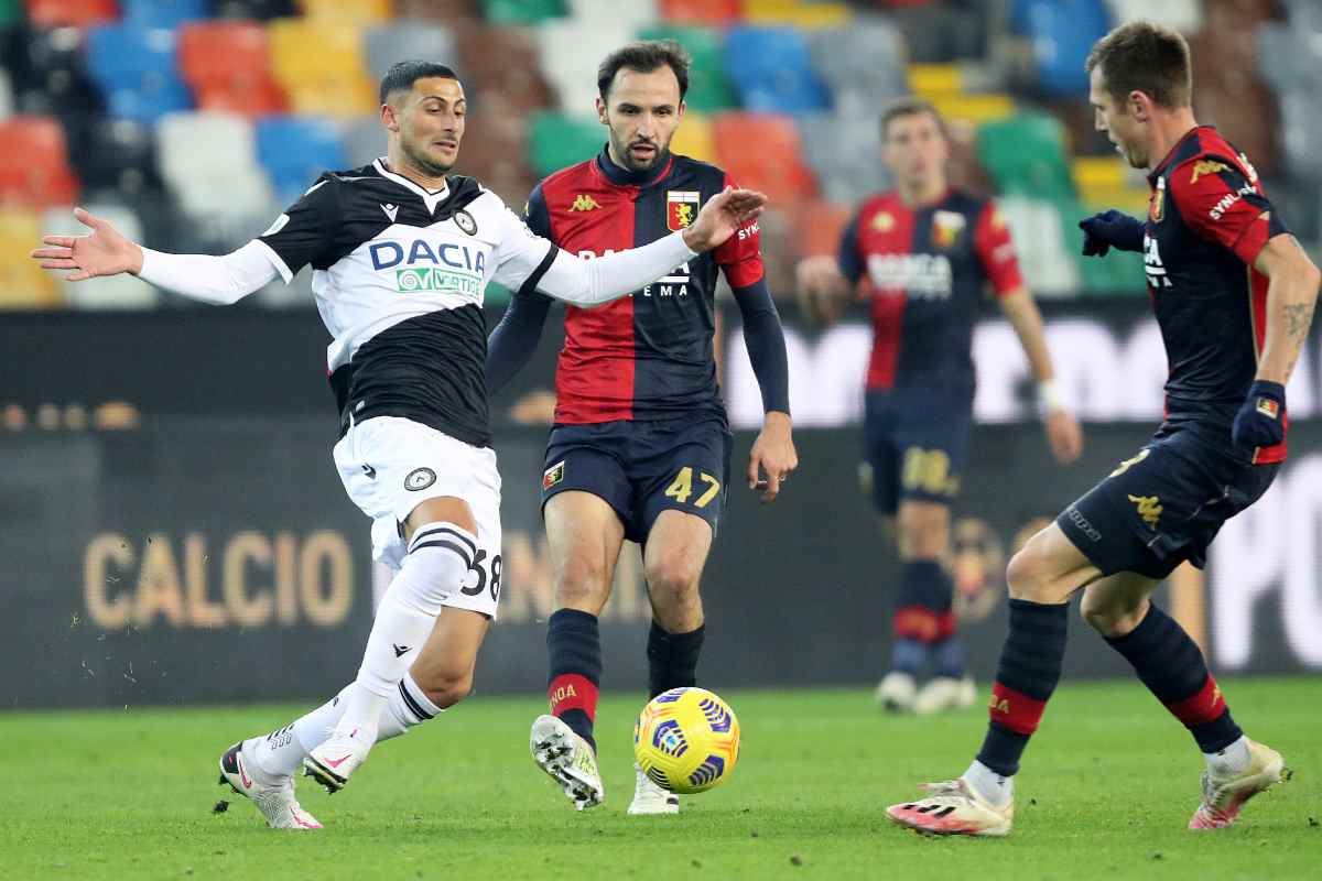 Mandragora in azione