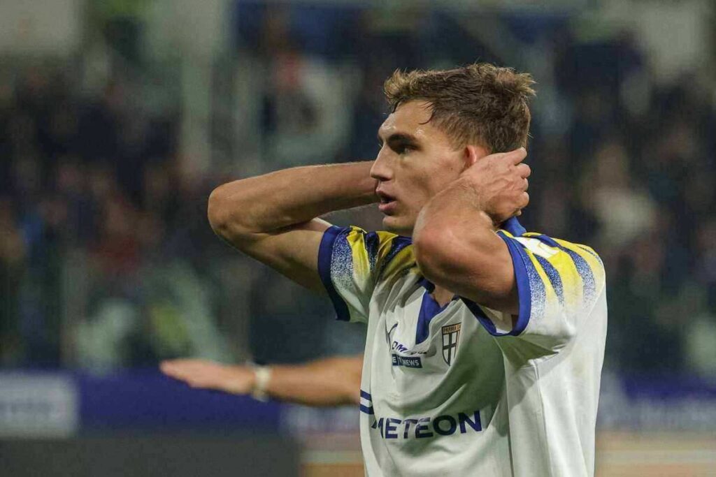 Mateo Pellegrino