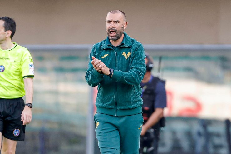 sammarco batte le mani in panchina