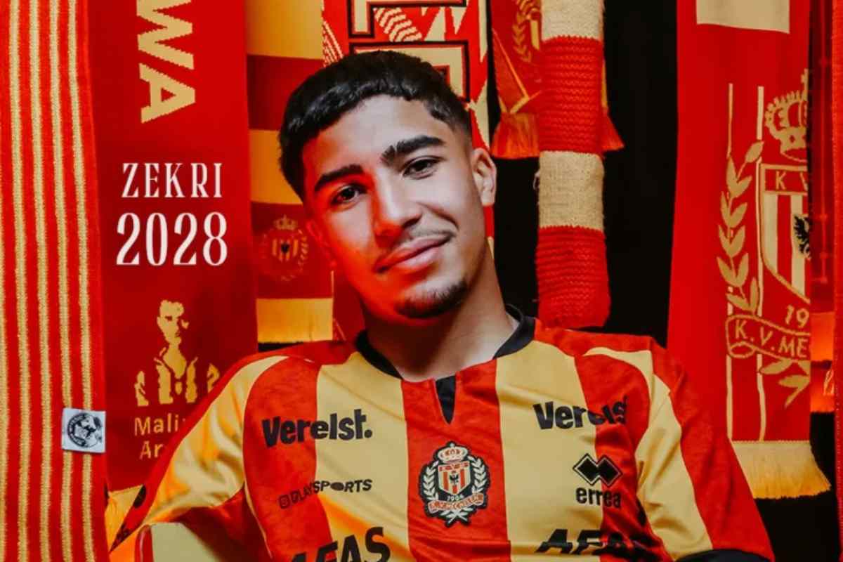 Zekri grafica Mechelen